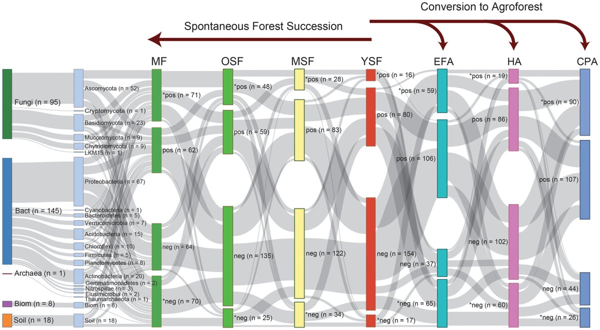 niooknaw's tweet photo. New NIOO publication: Microbiome resilience of Amazonian forests by @MarcioLeiteEco and others. #abovegroundbelowgroundinteractions #soilmicrobiome #forestregrowth #agroforestry 
https://t.co/1jk0YUNVKO https://t.co/FqBBjlqaGV