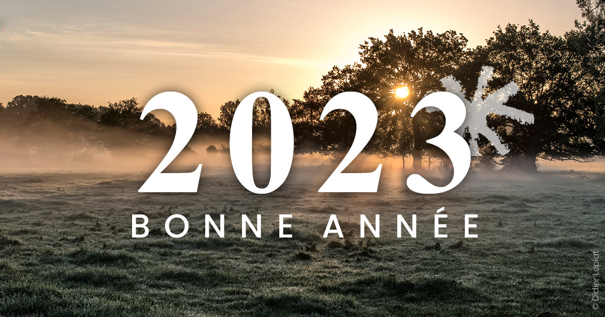 🥳 Très belle année 2023 dans le Perche !