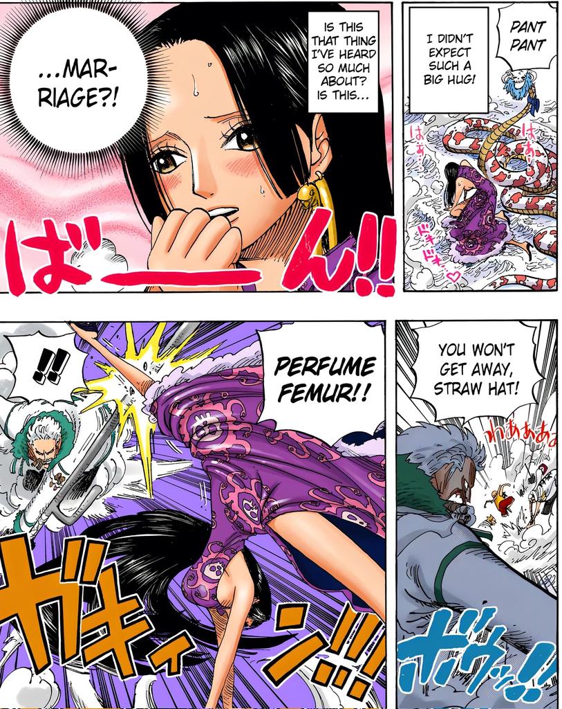 Hancock Protecting Luffy from Smoker, image size:813x1024