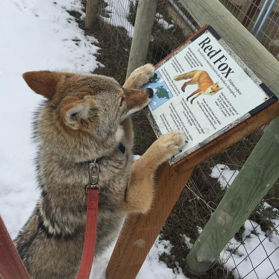HourlyYote's tweet photo. [🔗](https://t.co/lWHovvRtiJ) https://t.co/oWxyr7RyUc