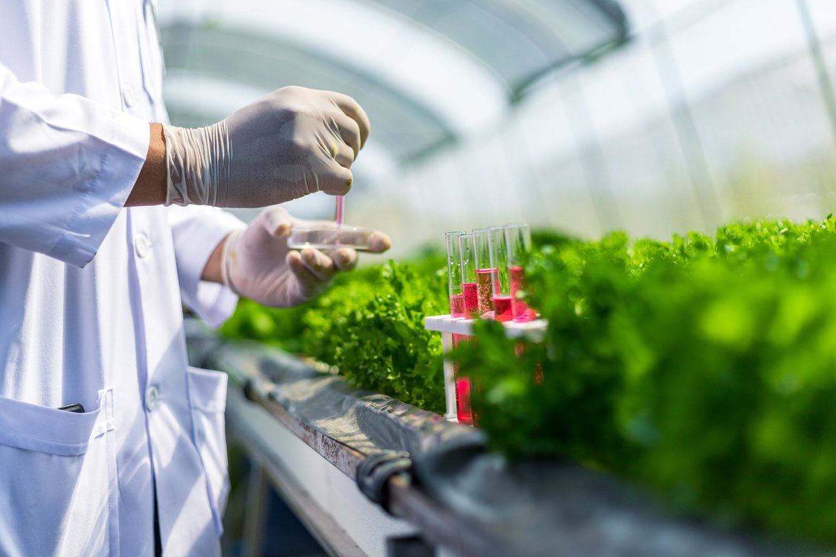 MoAgriculture's tweet photo. January is #BiotechnologyMonth!
Biotechnology plays a critical role in helping feed, fuel and clothe the world's population.
Learn more about how biotechnology impacts the agriculture industry 👉 https://t.co/KGFbmmrAuR
#growMore https://t.co/8w6MjYwo3x