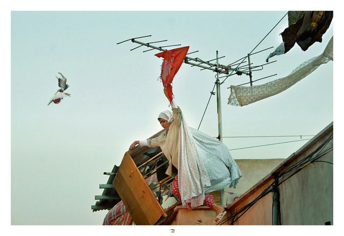 برای تاب آوری و‌پایداری زنانی که ورطه ی ترسناک اسارت را در این سرزمین به چالش کشیده اند، تنزل را با خیزش بی پروا طی کرده و همچون پرندگان نغمه آزادی سر داده اند. #WomanLifeFreedom #Mahsa_Amini #Javad_Jalali #IranProtests #photography #PHOTOS #زن_زندگی_آزادی