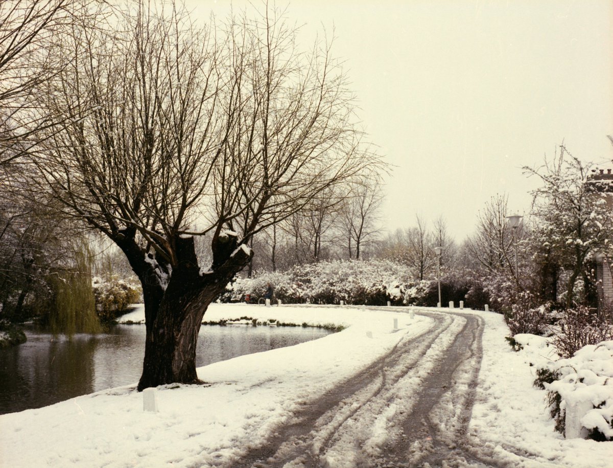 Historisch spreekuur op zaterdag 7 januari 2023 van 13.30 tot 16.30 in de Kaaskelder van de Hofboerderij. Voor iedereen met vragen of informatie over de geschiedenis van #Wateringen en #Kwintsheul. De toegang en de koffie zijn gratis. 

fb.me/e/3k4p40THO