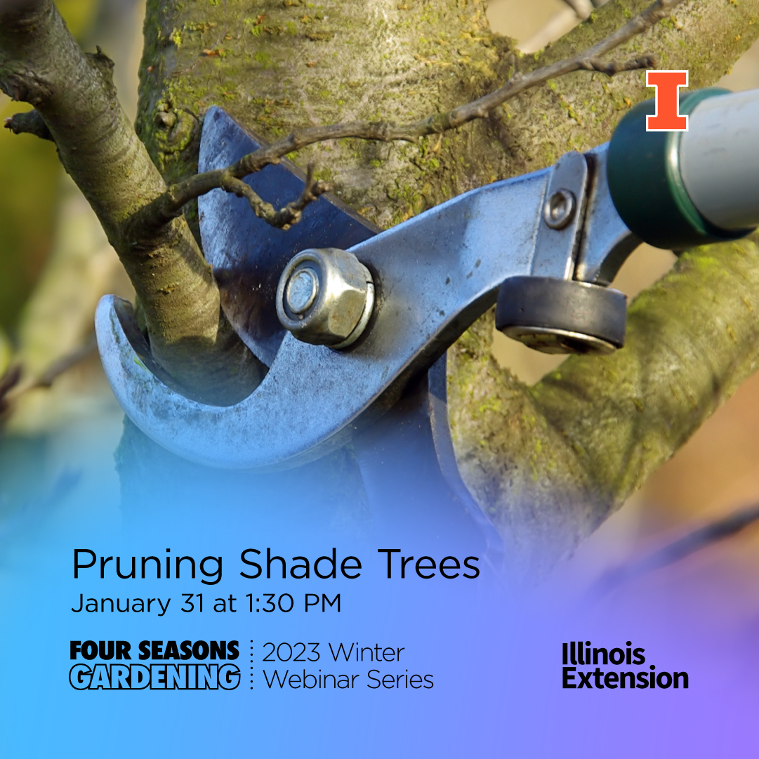 Illinois Extension tweet media