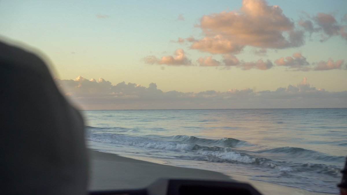 As the new year begins and we look ahead to all of our goals and hopes, we want to take a moment to thank everyone who donated to the Annual Fund in 2022. Your support makes our goals and hopes for 2023 a reality. Thank you!