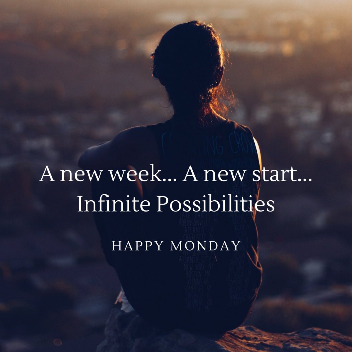 Web Design by Knight tweet media