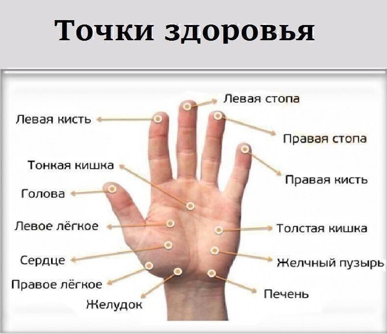 fito_terapevt's tweet photo. МАССИРУЯ ПАЛЕЦ ПО 1 МИНУТЕ В ДЕНЬ, ПОРАЗИШЬСЯ ТОМУ, ЧТО СЛУЧИТСЯ С ТВОИМ ТЕЛОМ

Точки на большом пальце отвечают за сердце и легкие. Учащенное сердцебиение можно постепенно исправить с помощью массажа этого пальца. 

Указательный палец 

Отвечает за работу ЖКТ. Боли в животе, ... https://t.co/iYGlkwE4QD
