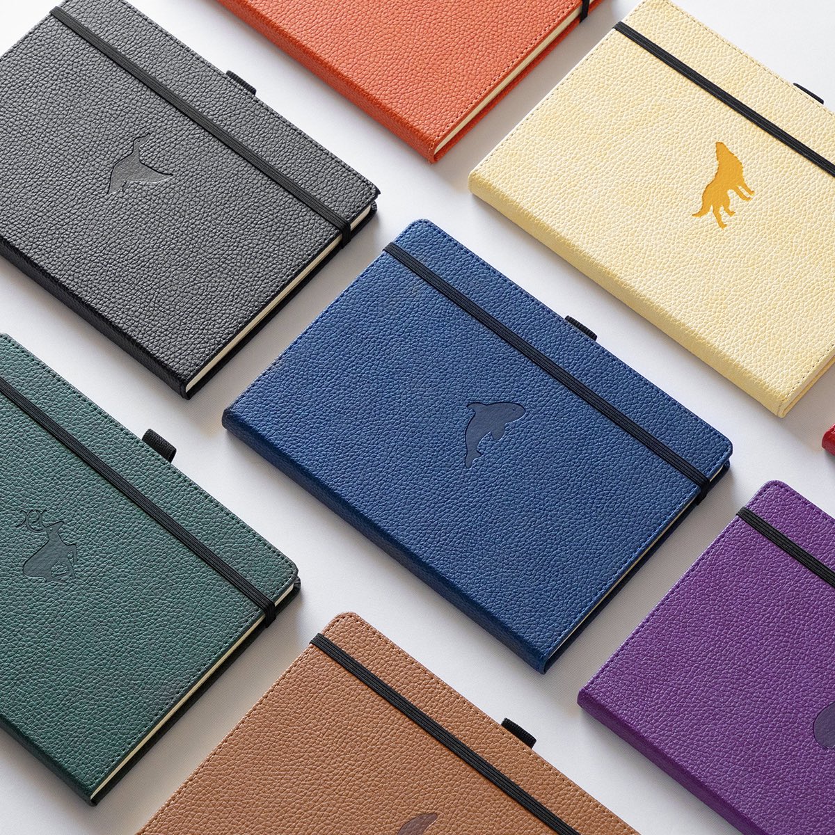dingbats_ntbks's tweet photo. The best notebooks for starting out 2023 right! #dingbatsnotebooks
.
.
.
.
#journaling #showmeyourplanner #bulletjournal #bujo #bujoinsperation #planneraddict #bujo2022 #bujocommunity #plannercommunity #stationeryaddict #bulletjournaljunkies #fountainpen #diary #planning https://t.co/7y8mbccHbQ