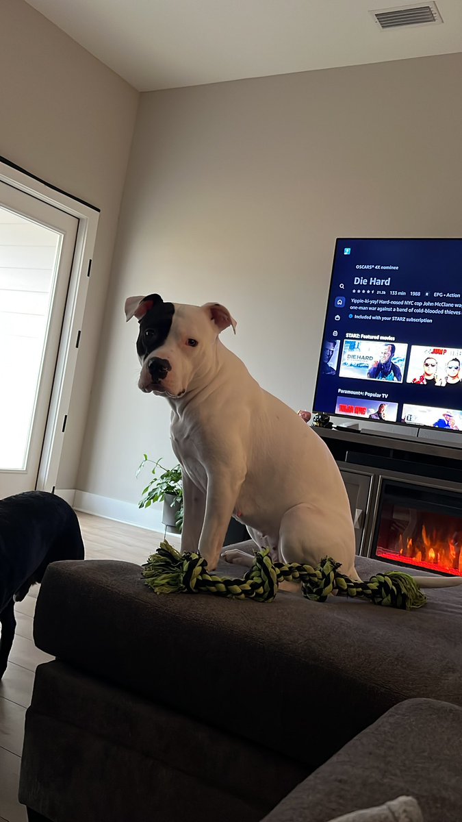 Can I please have some toast with peanut butter too??