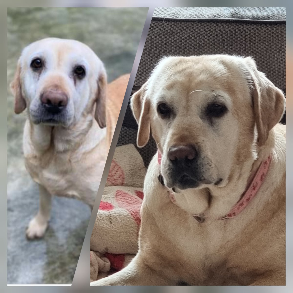 andyfinn tweet media