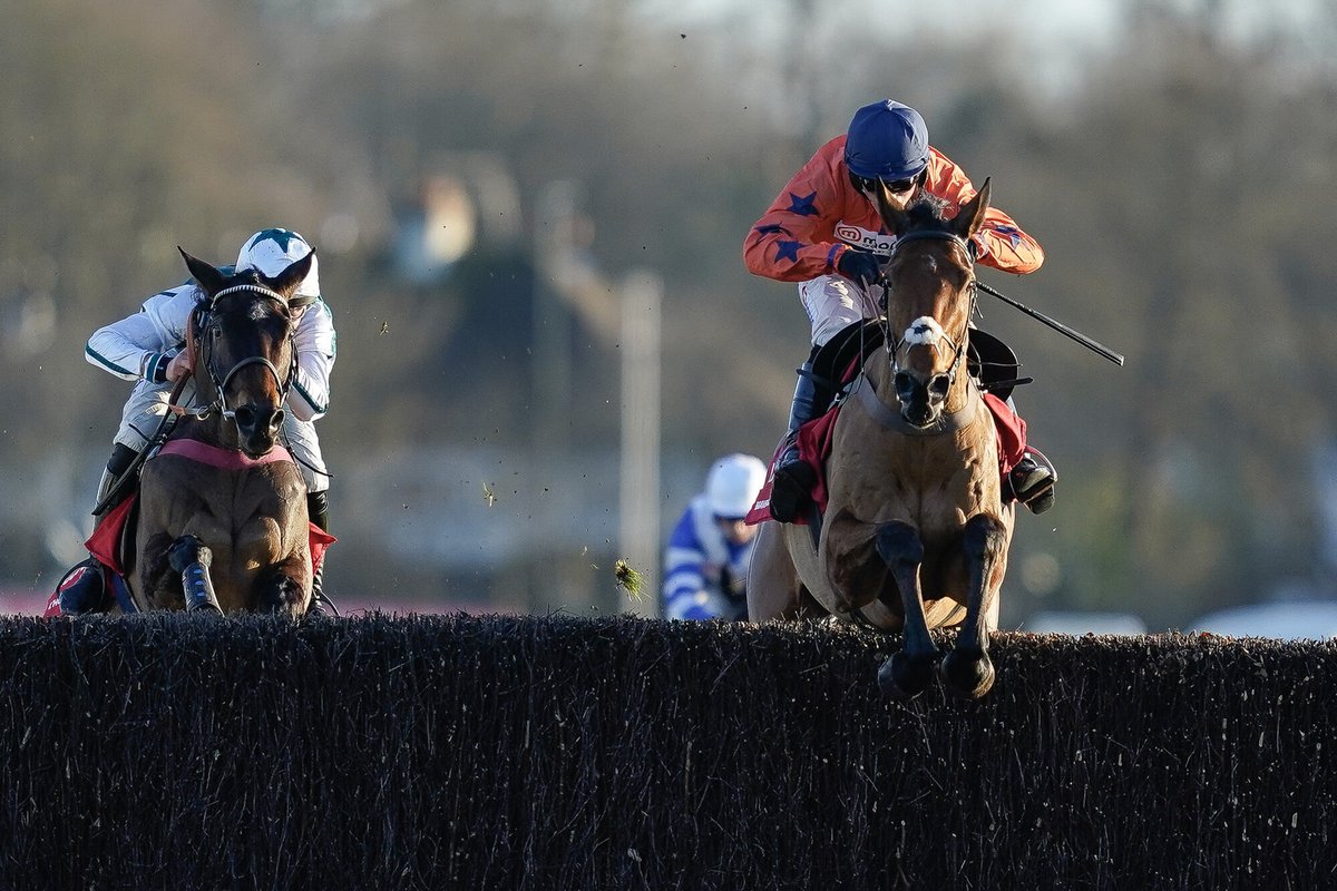 Road To Cheltenham tweet media