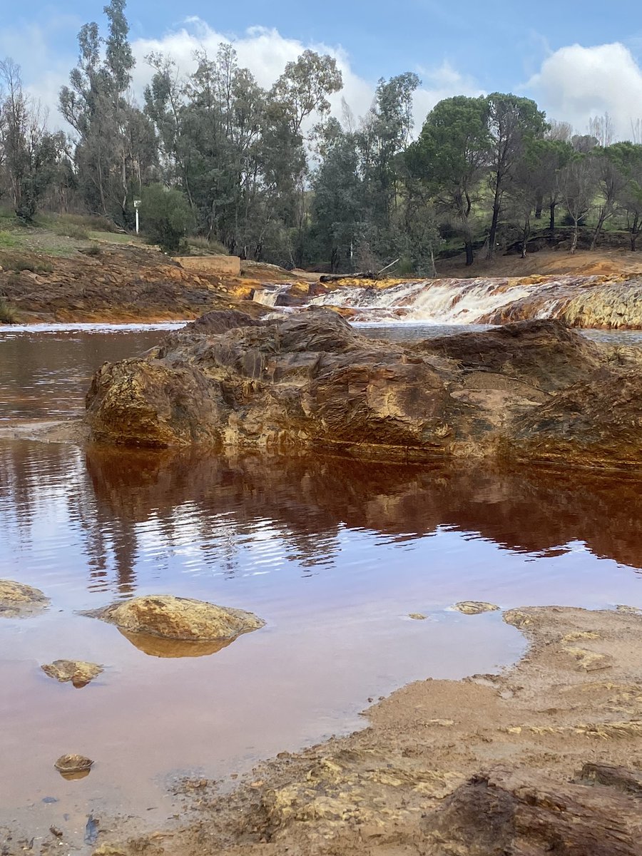 abogadocort's tweet photo. Un paseo por estos paisajes para desconectar de todo. El sonido del día fue el de la naturaleza…
#Huelva #Gadea #Marte #SinFiltros https://t.co/sJ1ISQ7xBb