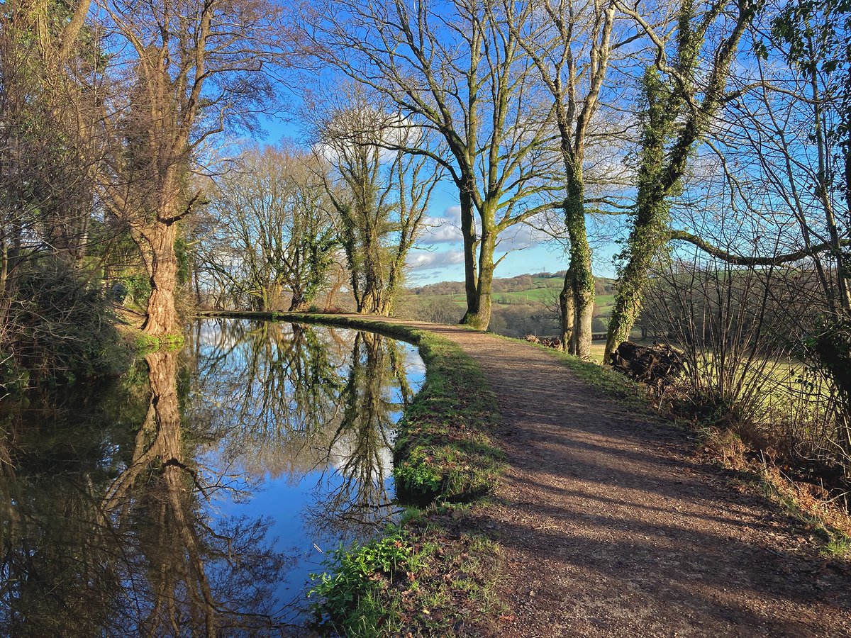 Tom Maloney tweet media