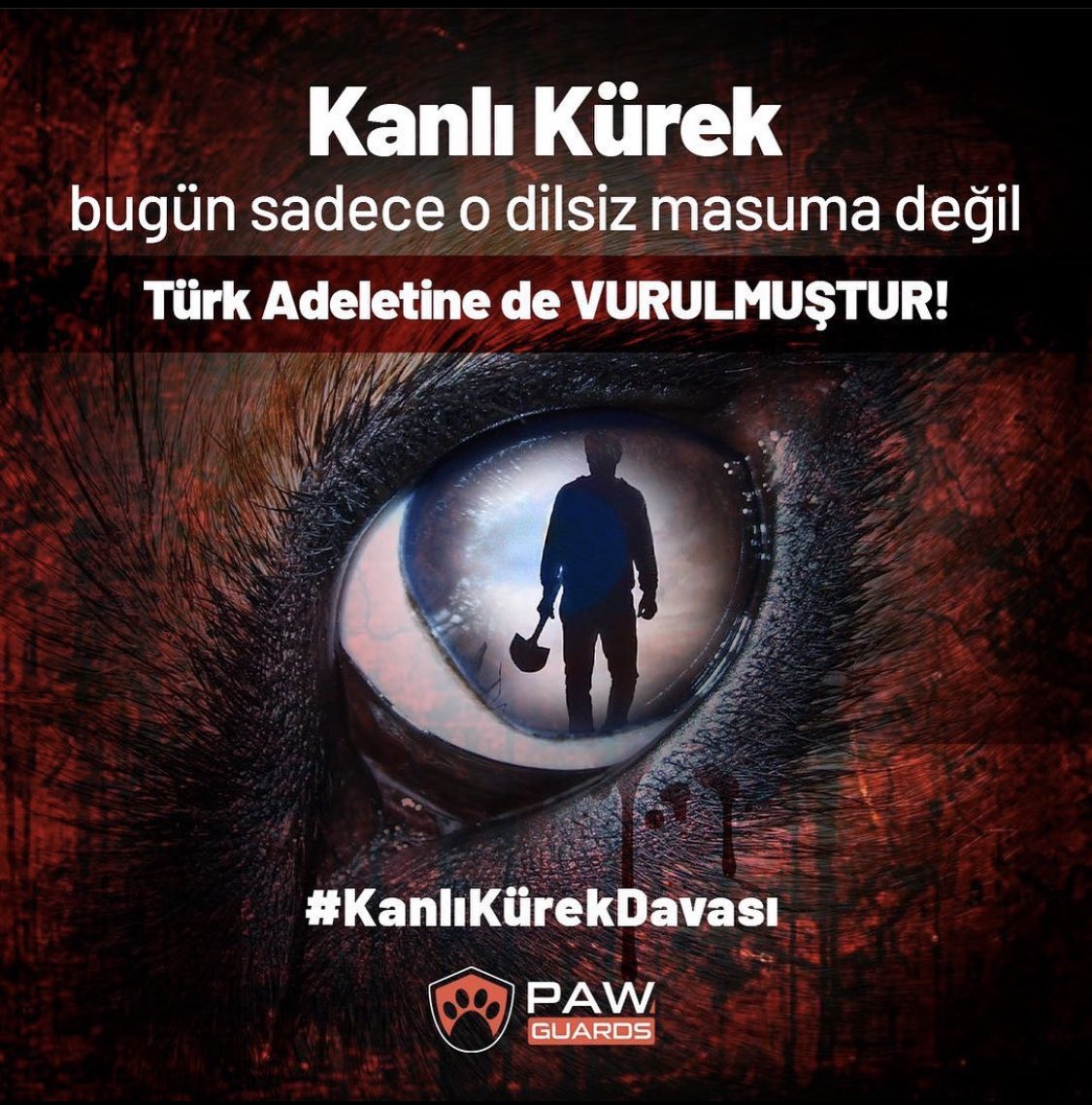 Kadın yolluydu, çocuğun rızası vardı, köpek hakkediyordu! 

İşte bu adaletsizlik mülkü temelinden sarsar!

#SokakHayvanlarıSahipsizDeğil 
#sokakhayvanlarisahipsizdeğil 
#HerCanİçinAdalet 
#AdaletinizBatsın 
#AdaletinBumuDünya 
#Konyadakatliamvar