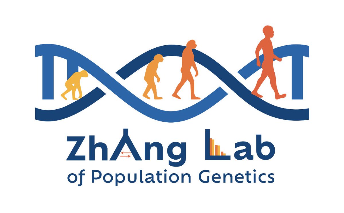 Super excited to present my newly-minted Lab logo and website! zhanglabpopgen.org Can't wait to start my new journey at @UM_Genetics in just a month. I'm also recruiting postdocs and students interested in popgen and ML/AI methods development, please help spread the word!