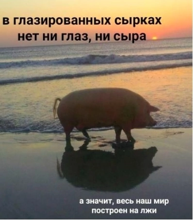 ужасные мемы (@liltonder) on Twitter photo 