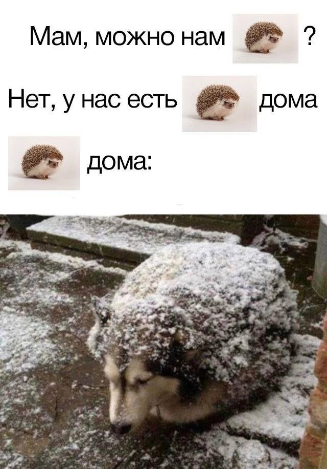 liltonder's tweet photo. https://t.co/CfPZGXzSm3