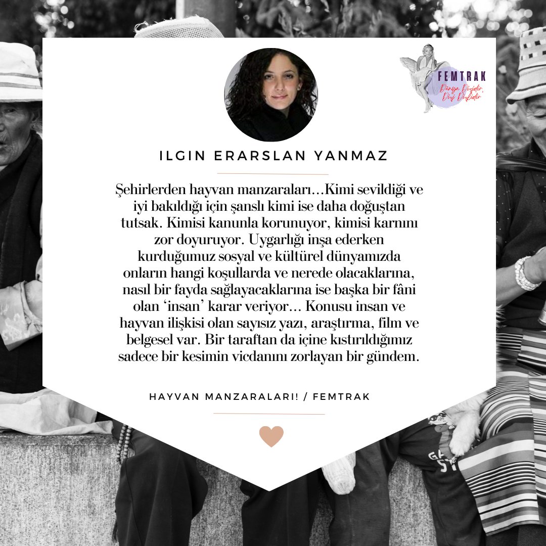 Ilgın Erarslan Yanmaz fotoğrafladı ve yazdı : "HAYVAN MANZARALARI!" - femtrak.com/hayvan-manzara…