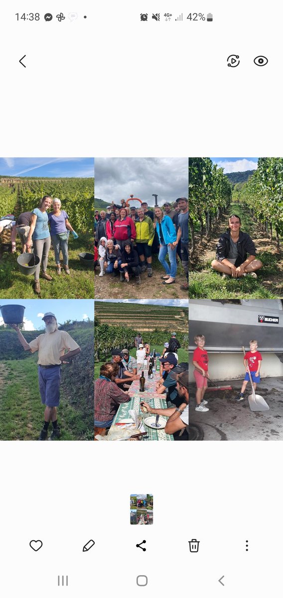 Après une année 2022 intense, une belle récolte et des échanges riches,

Nous abordons 2023 avec de nouveaux projets 🍇✨️ Une belle Année à tous 🥂

#EmileBeyer #drinkalsace #alsacerocks