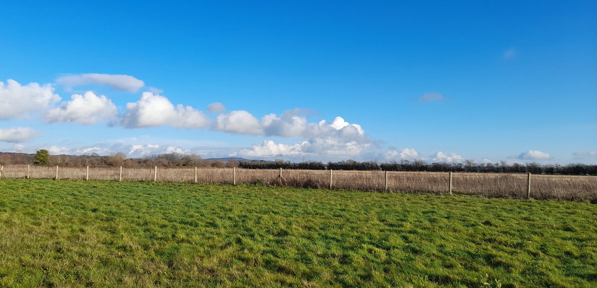 Beautiful blue skies on today's little wander. This year's challenge... to get outside more #LocalWalks #GoodIntentions