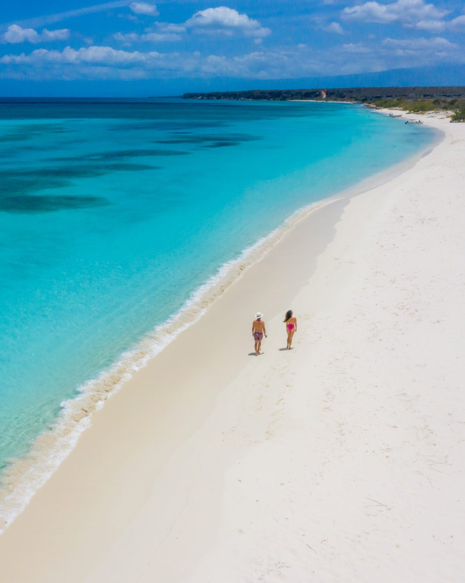 skycana's tweet photo. ¡Para empezar bien el año, dirígete a nuestras magníficas playas en República Dominicana! Desde Punta Cana hasta Bahía de Las Águilas, pasando por Bayahibe, Samaná o Puerto Plata, nunca nos cansamos de la belleza de nuestra isla 💙🌴 https://t.co/OAhyihvyQe