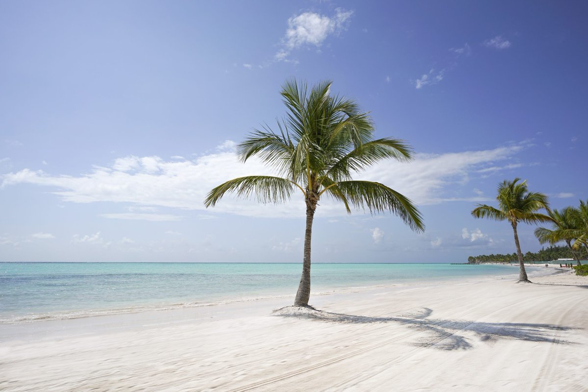 skycana's tweet photo. ¡Para empezar bien el año, dirígete a nuestras magníficas playas en República Dominicana! Desde Punta Cana hasta Bahía de Las Águilas, pasando por Bayahibe, Samaná o Puerto Plata, nunca nos cansamos de la belleza de nuestra isla 💙🌴 https://t.co/OAhyihvyQe