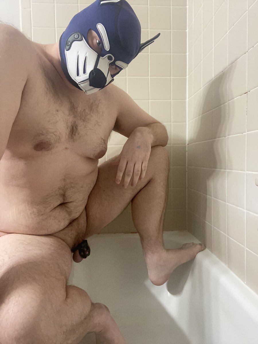 PupMystic's tweet photo. New Year, New Nudes

😘💙🐶 https://t.co/1uVjtaJcu7
