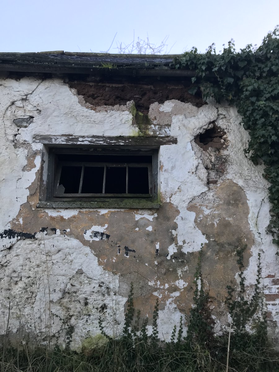 Dr Sarah Whittingham FSA tweet media