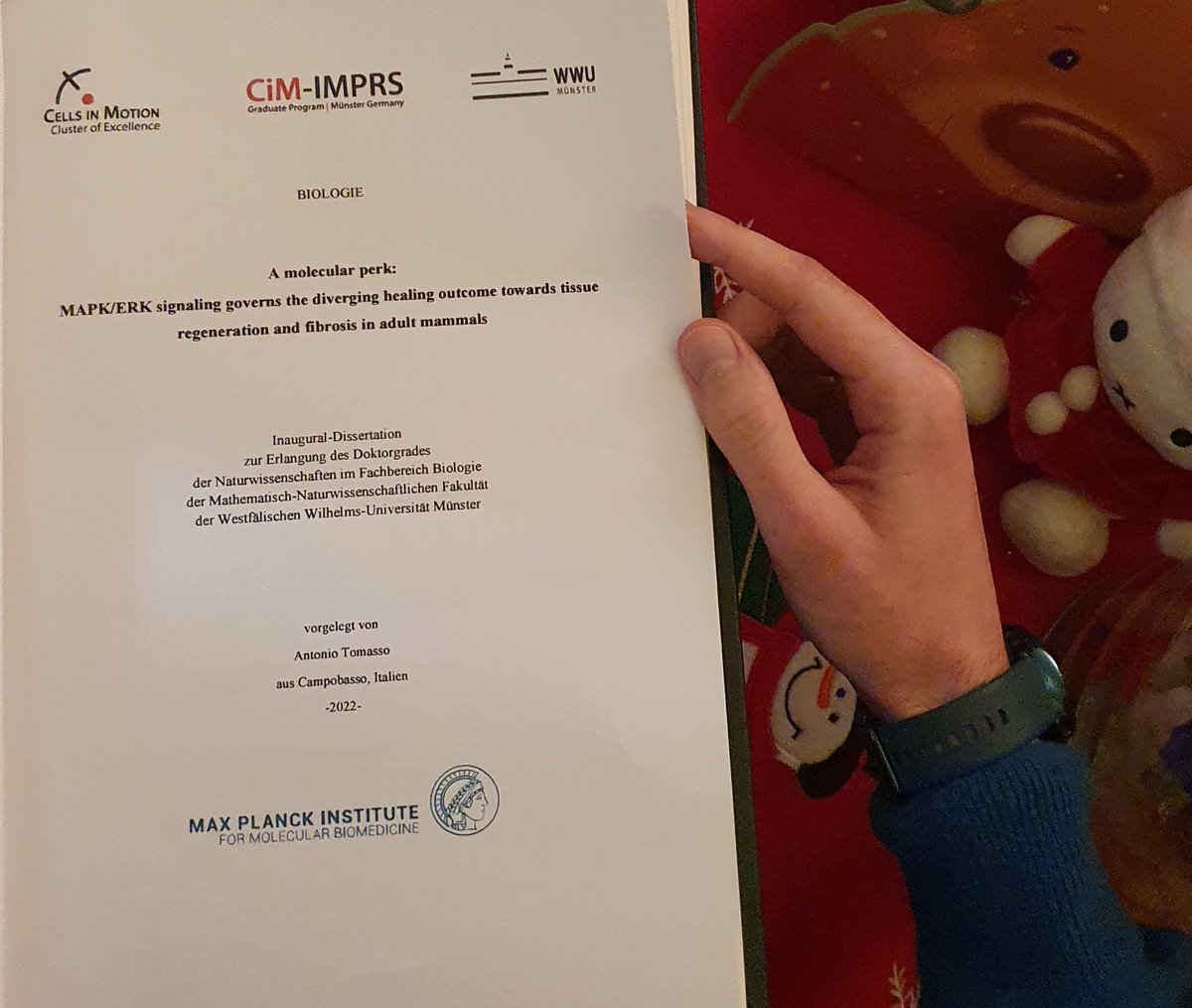 The 2022 ends with a present: PhD thesis accepted 🥳
It has been an incredible journey since my MSc, exploring a variety of model systems in 5 countries,  driven by the curiosity to understand why our organs and tissues don't regenerate upon damage.
#PhDthesis #phdchat #phdlife