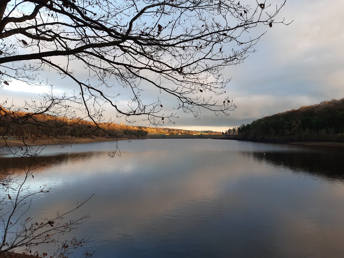 louisem09717316's tweet photo. Winter walk #Damflask https://t.co/v9f8gRpLQJ