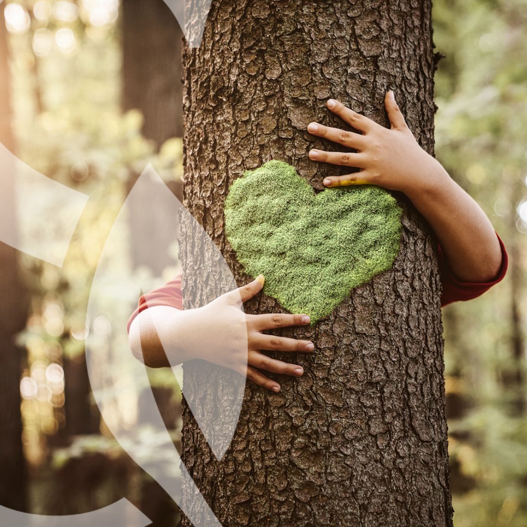 Seminaris Hotels tweet media