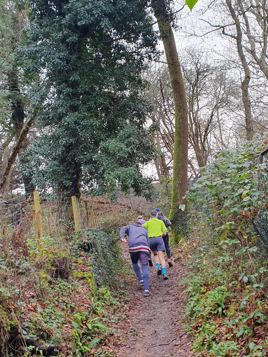 HaslemereH4's tweet photo. Beautiful start to the year, #Haslemere #Hash House Harriers January 5 mile run in #Godlaming #Surrey
If you fancy joining us, let me know, Sunday 5th February at 11am! https://t.co/8vLUaDHPZX