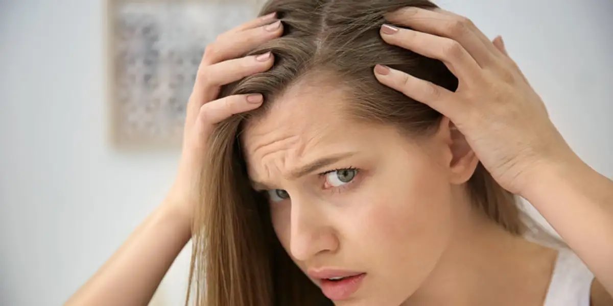over50orgasmic's tweet photo. After 50 some of us start losing some hair.  Did you know swallowing semen can help grow it all back? Semen has been discovered to encourage hair shaft elongation and lengthen hair growth. It boosts stem cells leading to new hair growth.
Yes,  it can grow our lost hair back! https://t.co/uwH1sTN91C