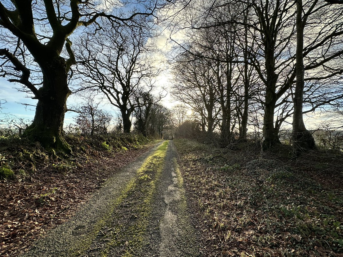 dylandavies34's tweet photo. Prynhawn bach hyfryd i fynd am dro. Lovely afternoon for a walk. @ThePhotoHour @ItsYourWales @S4Ctywydd @DerekTheWeather @ChrisPage90 @nationalwales
@Llelo2801 @AledHall @Rhiders @FfotoC #Pencader https://t.co/NQ3eLnXNIH