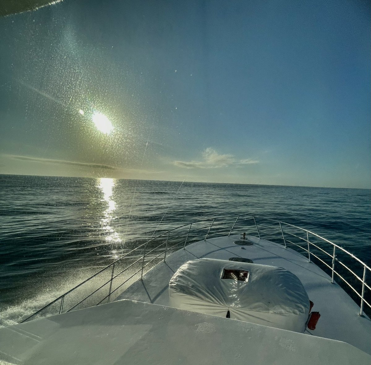fishgulfshores's tweet photo. Nice day in the Gulf of Mexico.  Half day family trip with a family from Georgia. #fishorangebeach #charterboatintimidator #andemonofikament @MustadFishing #mustadfishing #alwx #alseafood #furuno #uafish #aftco @AftcoFishing https://t.co/pWzEFMXcvq