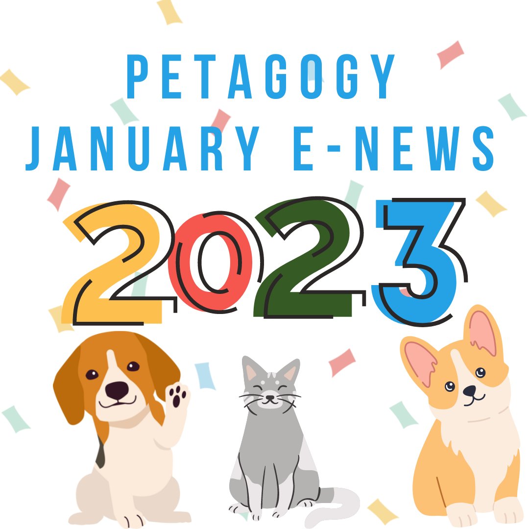 Petagogy's tweet photo. Happy New Year from Petagogy! 🎆 - https://t.co/XgrAmhVpzD https://t.co/VsRoJ7FtOP