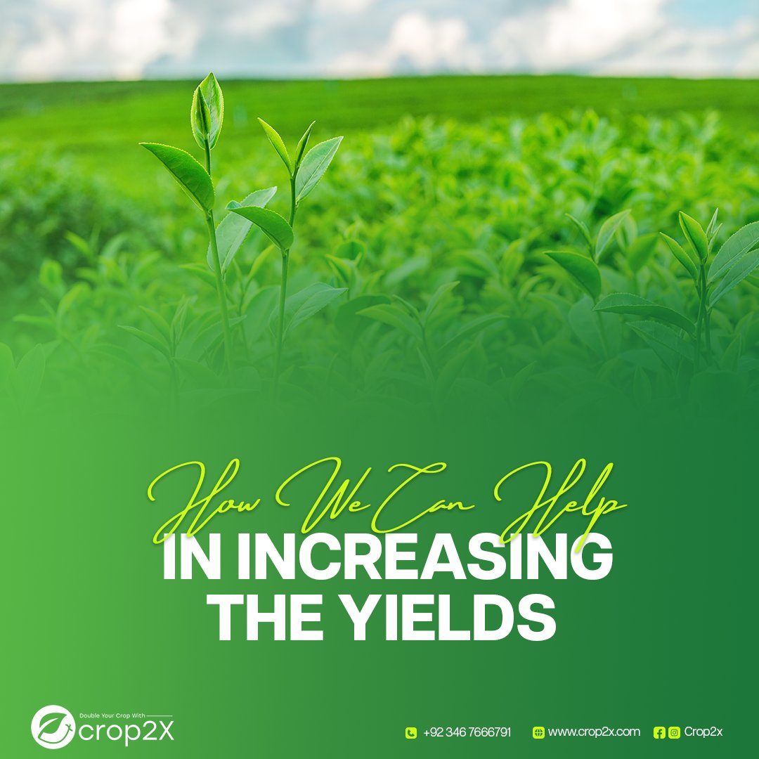 Crop2X's tweet photo. Crop2x provides state-of-the-art tools to double your yield. 
There are two ways to increase yields through Crop2x i.e. consultation and employing advanced Agritech tools. 
#Sustainability #Crop2x #IncreaseYourYields #DataDrivenAgriculture #Analytics #Consultation #AgriTech https://t.co/8V32d3asBZ