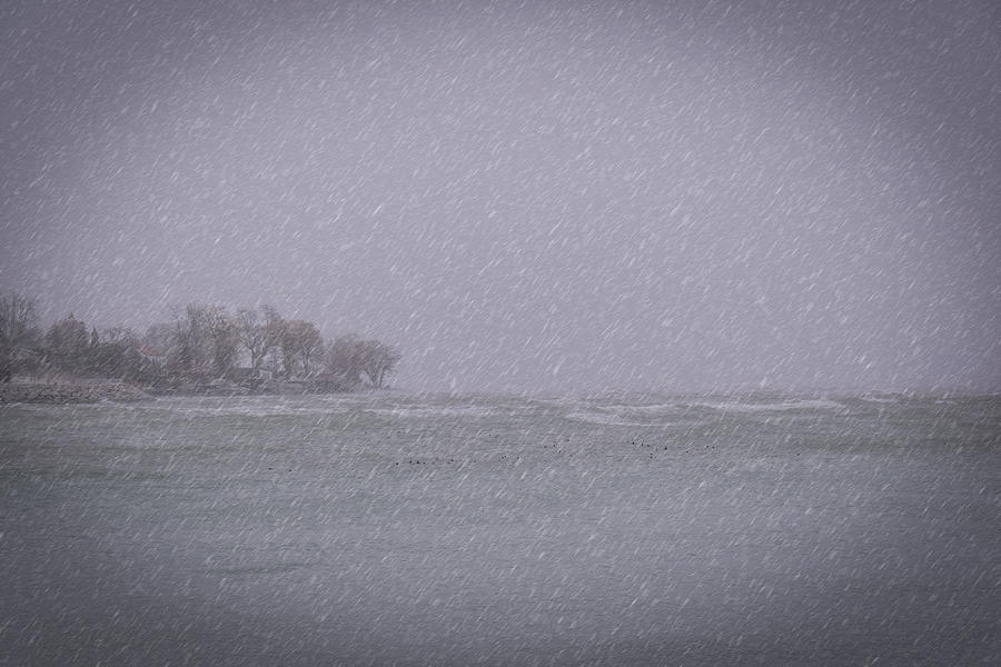 jrtwynam's tweet photo. A #winter #snowstorm pummels #SamSmithPark by #LakeOntario in #Toronto, highlighting the bleakness of the season.
https://t.co/rCaVTOO3IE
#BuyIntoArt #PrintsForSale #OnlineShopping #AYearForArt #Snowy #Ontario https://t.co/H9ZS8D5eLj