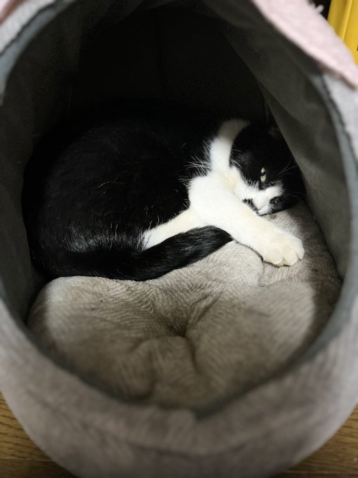 ……起こすんじゃにぇーよ 