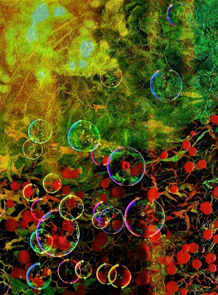 Anna Freyne tweet media