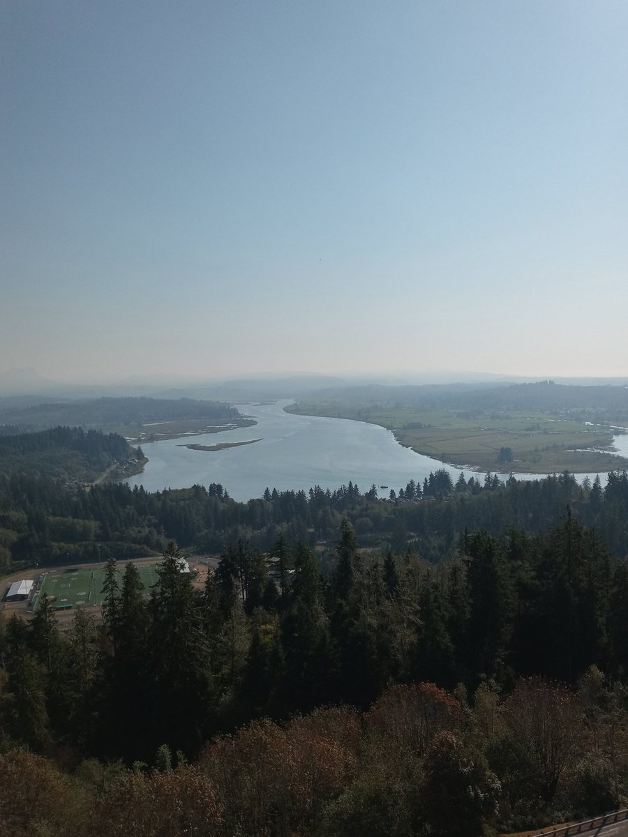 CrowSphere's tweet image. 2022 ended with a lot of life change, and its been a struggle. But I know its all been building toward better. Thank you for being here for me through it all. 
Looking forward to more adventures and another turn around the sun with all of you 💜