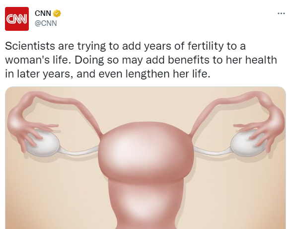 CNN mistakenly admits that womanhood has something to do with biology.