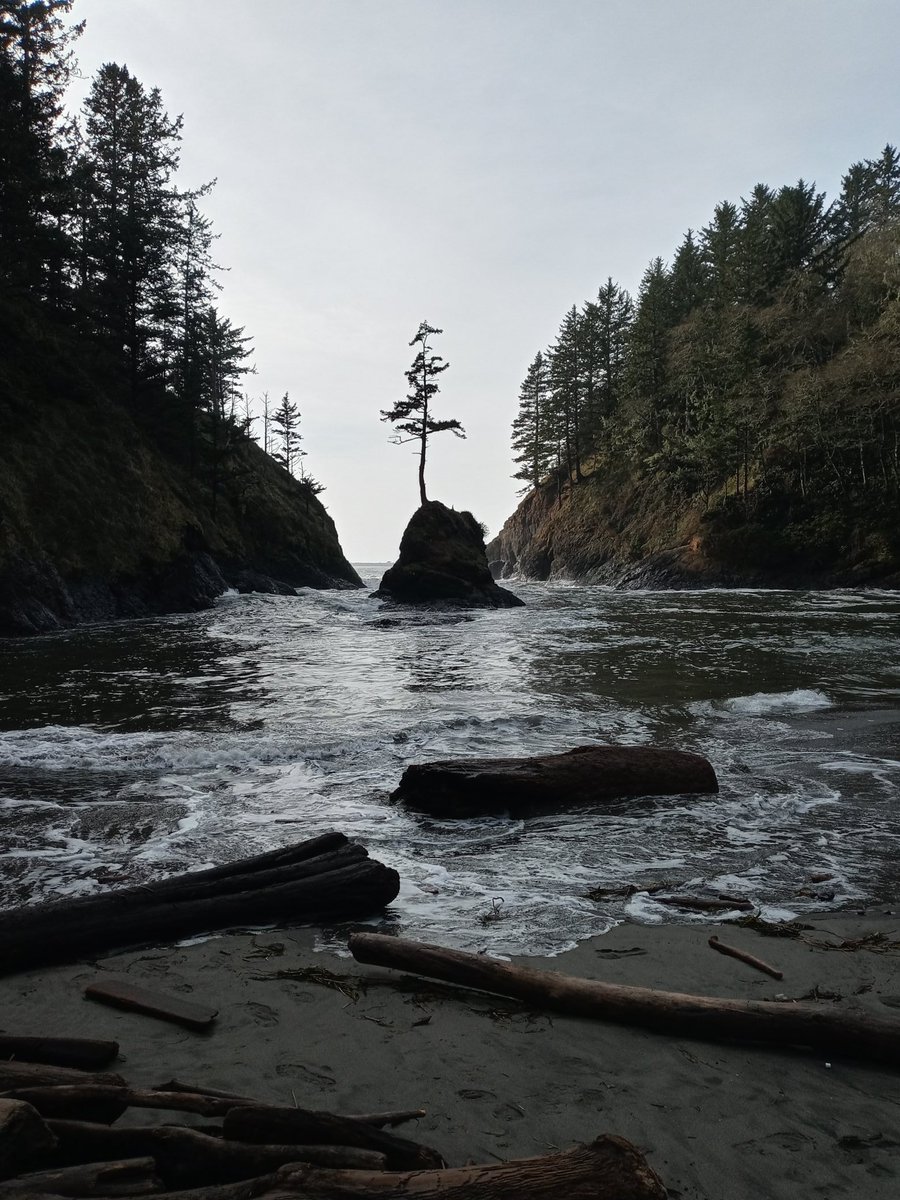 CrowSphere's tweet image. 2022 ended with a lot of life change, and its been a struggle. But I know its all been building toward better. Thank you for being here for me through it all. 
Looking forward to more adventures and another turn around the sun with all of you 💜