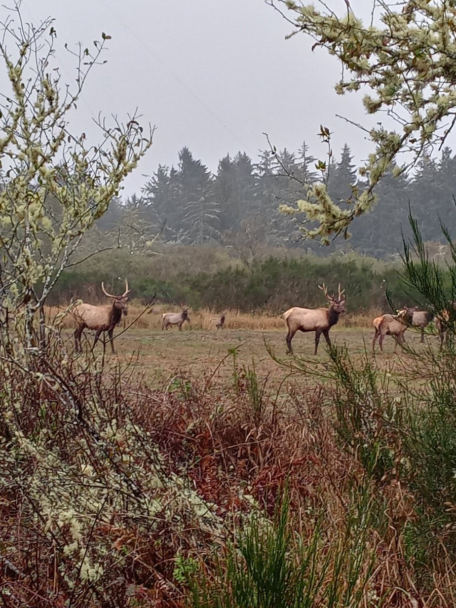 CrowSphere's tweet image. 2022 ended with a lot of life change, and its been a struggle. But I know its all been building toward better. Thank you for being here for me through it all. 
Looking forward to more adventures and another turn around the sun with all of you 💜