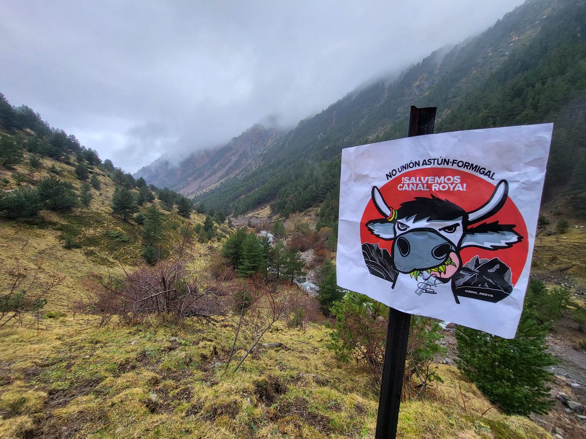 #CanalRoya hoy. Nada de nieve.

Mañana diversas organizaciones organizan un acto en #canfranc y #CanalRoya en defensa del valle y contra la unión de estaciones de #Astún y #Formigal

⏲️A las 10:30 en Canfranc estación

#salvemosCanalRoya