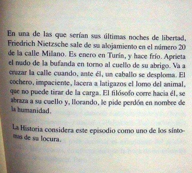 El 3 de enero de 1889, por la mañana, Friedrich Nietzsche abandona su casa de la calle de Carlo Alberto, en Turín, para dirigirse al centro de la ciudad. En el transcurso de su paseo es testigo de una escena que le hace detenerse: un cochero está maltratando a su caballo...