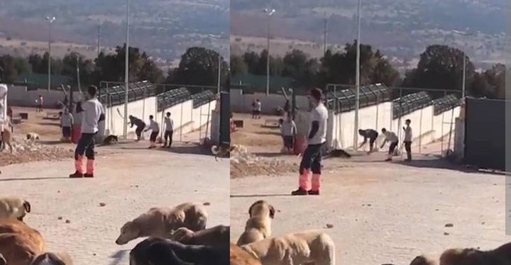 İlk bilmekten nefret edersin 
Sonra hiç bişey yapamayan halinden acizliğinden , İlk kötü yaşantılara sebep olandan nefret edersin sonra kendi yaşamından, İlk Ülkenin adaletsizliğinden nefret edersin sonra tüm dünyanın adaletsizliğinden #Konyadakatliamvar