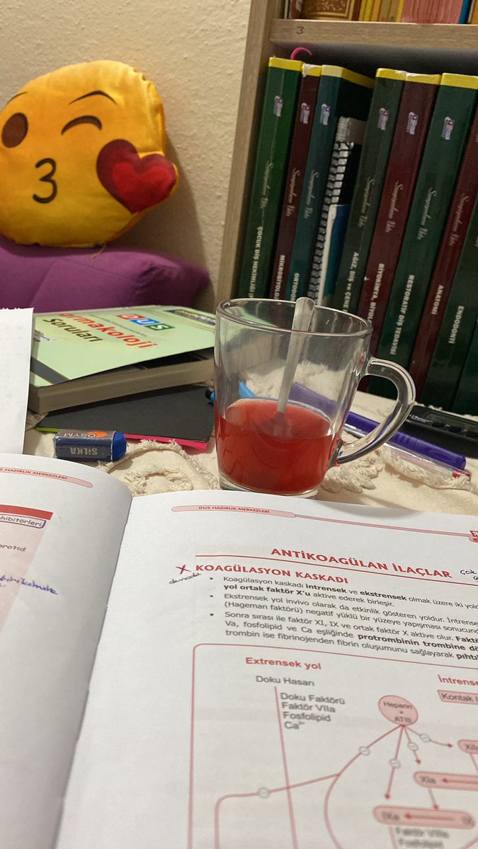 Ben de 2022 özetini reels yapayım dedim ama bu fotoğrafın dışına çıkamadım. Kah çalıştık kah çalıştık..