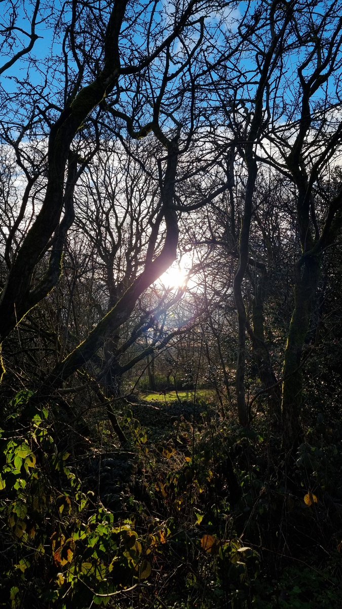 Massoud2121's tweet image. Out for a nice walk 🙂

#outforawalk #nice #calm #afternoon #justme #photographer #uk