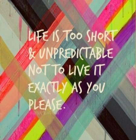 sfreemanauthor's tweet photo. Life is too short & unpredictable not to live it exactly as you please.
#stephaniemfreeman #mondaymotivation #nktribcalledsuccess https://t.co/CqYGGWcEIT